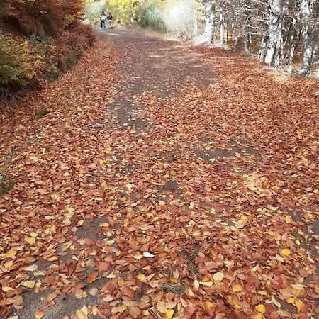 La Casa De Juan El Cantero Casa de Férias