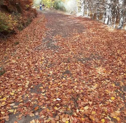 La Casa De Juan El Cantero Holiday home